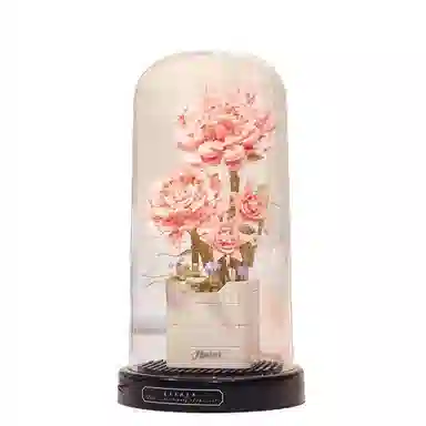 Brangdy 301-600pcs BRA-JM-24