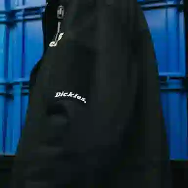 Dickies