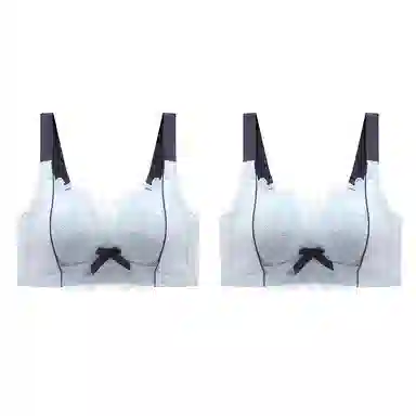 二三二三 小胸平胸不空杯中厚无钢圈聚拢专用纯欲性感舒适透气上托收副乳无痕防下垂调整型美背文胸 女款 组合装