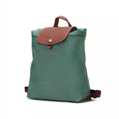 Longchamp Le Pliage Sage Green