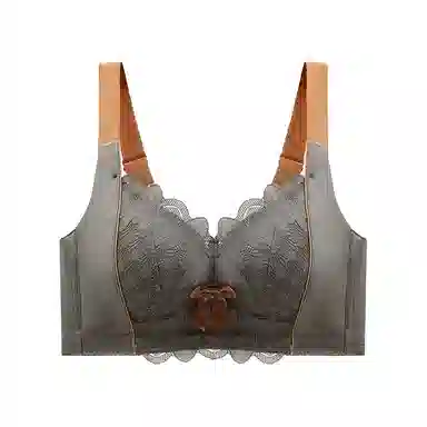 二三二三 小胸平胸不空杯中厚无钢圈聚拢专用纯欲性感舒适透气上托收副乳无痕防下垂调整型美背文胸 女款 组合装