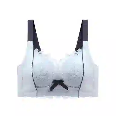 二三二三 小胸平胸不空杯中厚无钢圈聚拢专用纯欲性感舒适透气上托收副乳无痕防下垂调整型美背文胸 女款 组合装