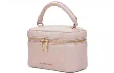 Charles & Keith Quilted Chain Bag