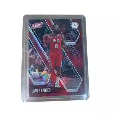 PANINI 2018-19 232299