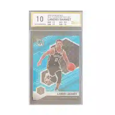 PANINI 2020-21 0215 TTR 10