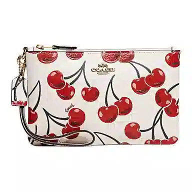 COACH Wristlet 19