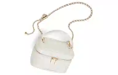 Charles & Keith Quilted Chain Bag