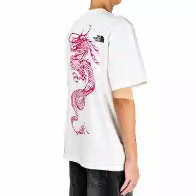 THE NORTH FACE logoT