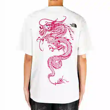 THE NORTH FACE logoT