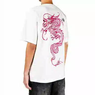 THE NORTH FACE logoT