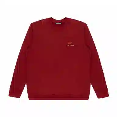 Arcteryx Extraordinary