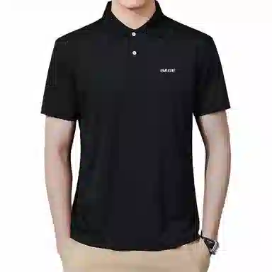 logoPolo