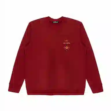 Arcteryx Extraordinary