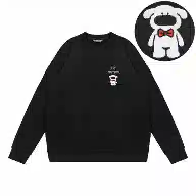 Arcteryx Extraordinary