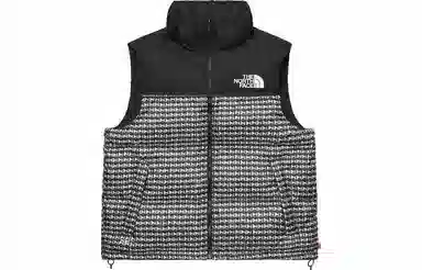 Supreme x The North Face Studded Nuptse Vest