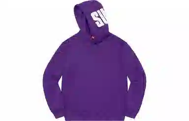 Supreme FW20 Week 17 Rib Hooded Sweatshirt