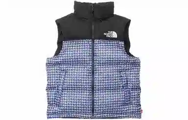 Supreme x The North Face Studded Nuptse Vest