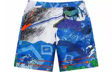 Supreme Ronin Silk Shorts