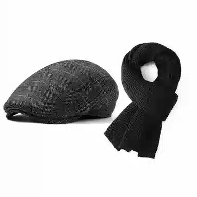 俞兆林 中年人爸爸帽子保暖加长护耳秋冬季鸭舌帽老人爷爷前进帽 轻薄款 贝雷帽 男款