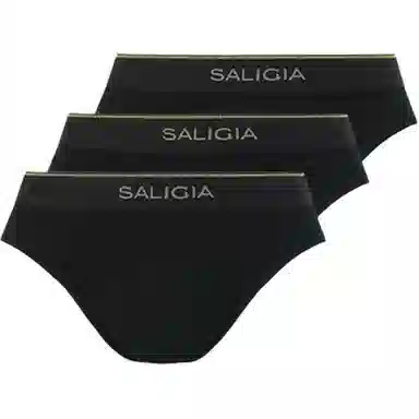 SALIGIA 3