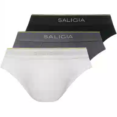 SALIGIA 3