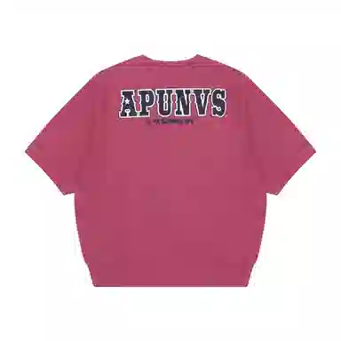 Aape T