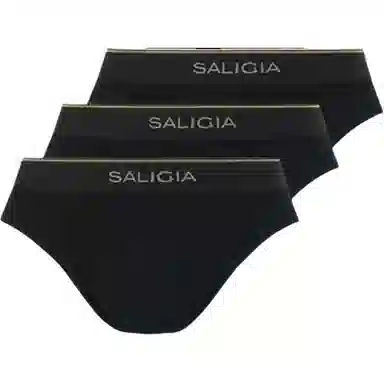 SALIGIA 3