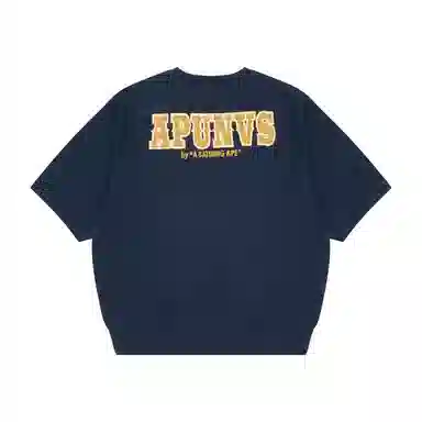 Aape T