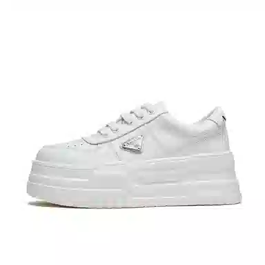 AQUASCUTUM