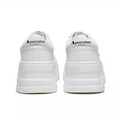 AQUASCUTUM