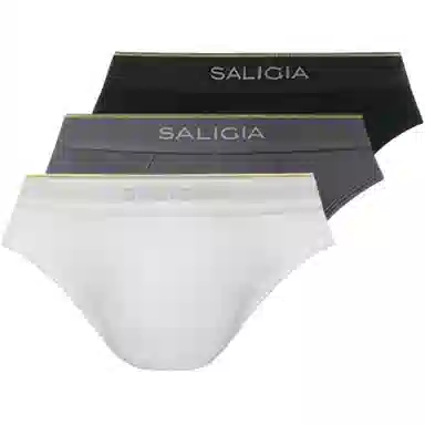 SALIGIA 3