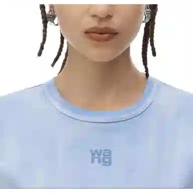 alexander wang FW24 T