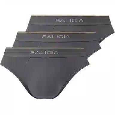 SALIGIA 3