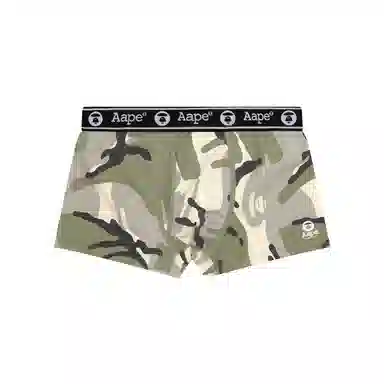 Aape 1