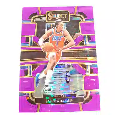 PANINI 2023-24 select 15