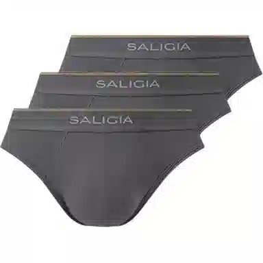 SALIGIA 3