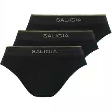 SALIGIA 3
