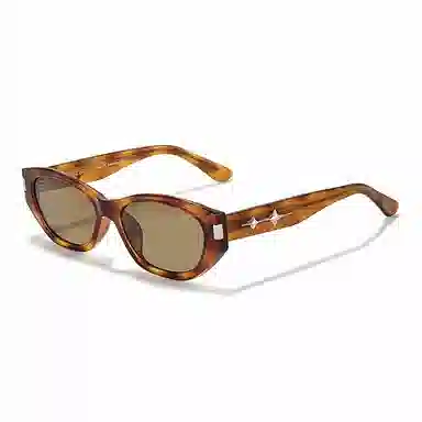 Sagawa Sunglasses