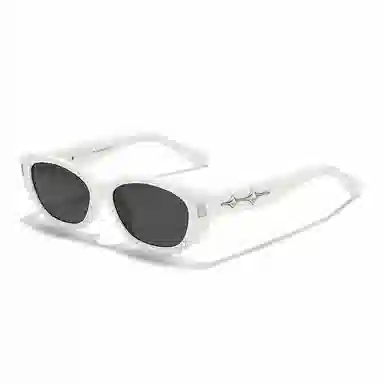 Sagawa Sunglasses
