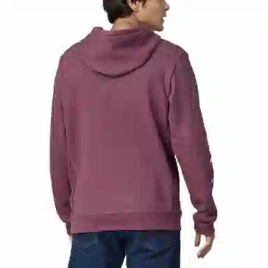 patagonia Fitz Roy Wild Uprisal Hoody Logo