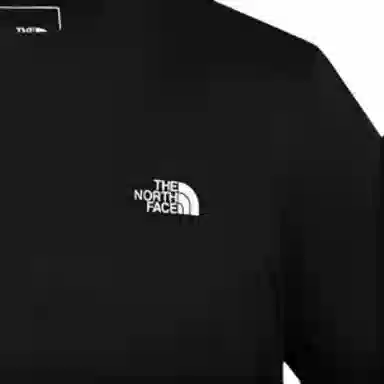 THE NORTH FACE Logo SS24 T