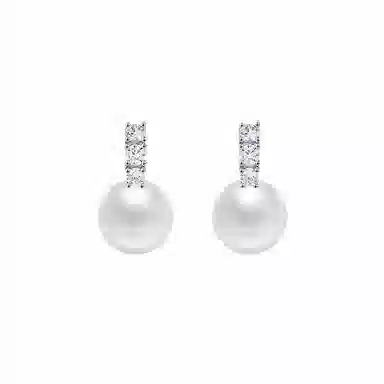 zoo jewel S925