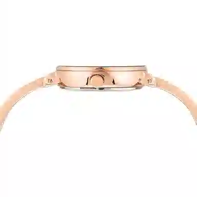 Anne Klein Quartz Watch 30mm White Dial