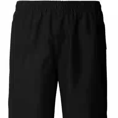 THE NORTH FACE MEN'S GORE-TEX MOUNTAIN TROUSERS