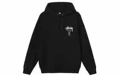 Stussy World Tour Hoodie Logo