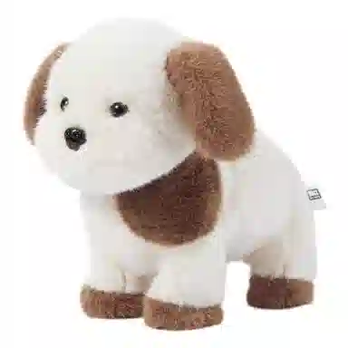 BABY CARE x BCTOYS