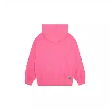 Vision Street Wear Hoodie