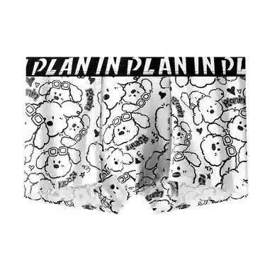 PLAN IN 1