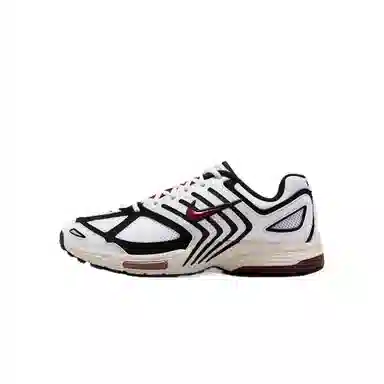 Nike Air Pegasus 2005