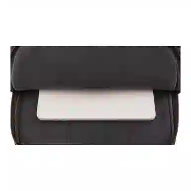 The North Face 22L Backpack Brown